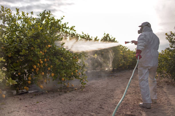Best Pest Control Treatment  in Lakin, KS