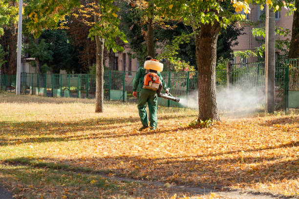 Reliable Lakin, KS Pest Control Solutions
