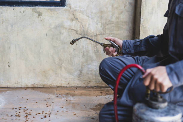 Best Affordable Pest Control Services  in Lakin, KS