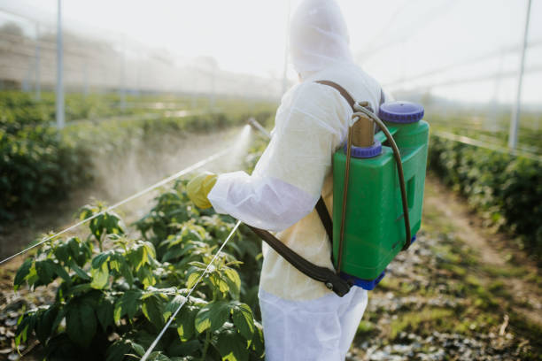 Best Cockroach Control Services  in Lakin, KS